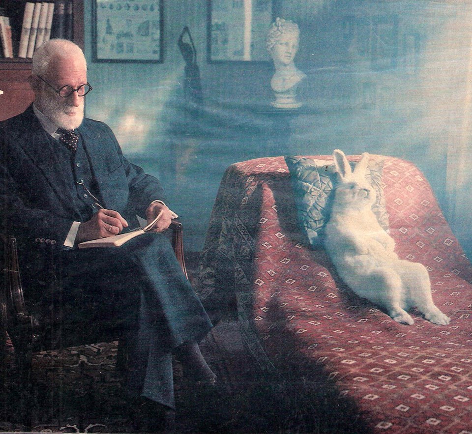 Freud-the-Rabbit