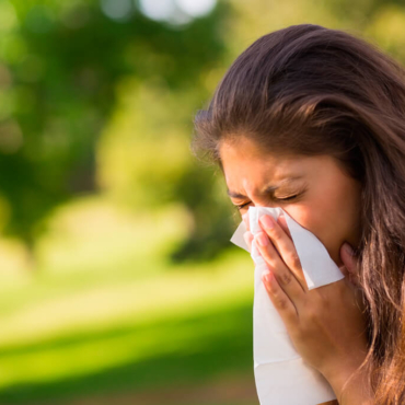 Аллергия. Разговор о наболевшем