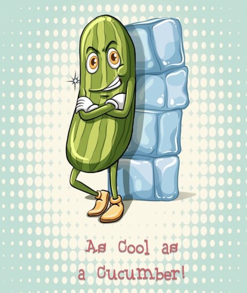 As cool as a cucumber