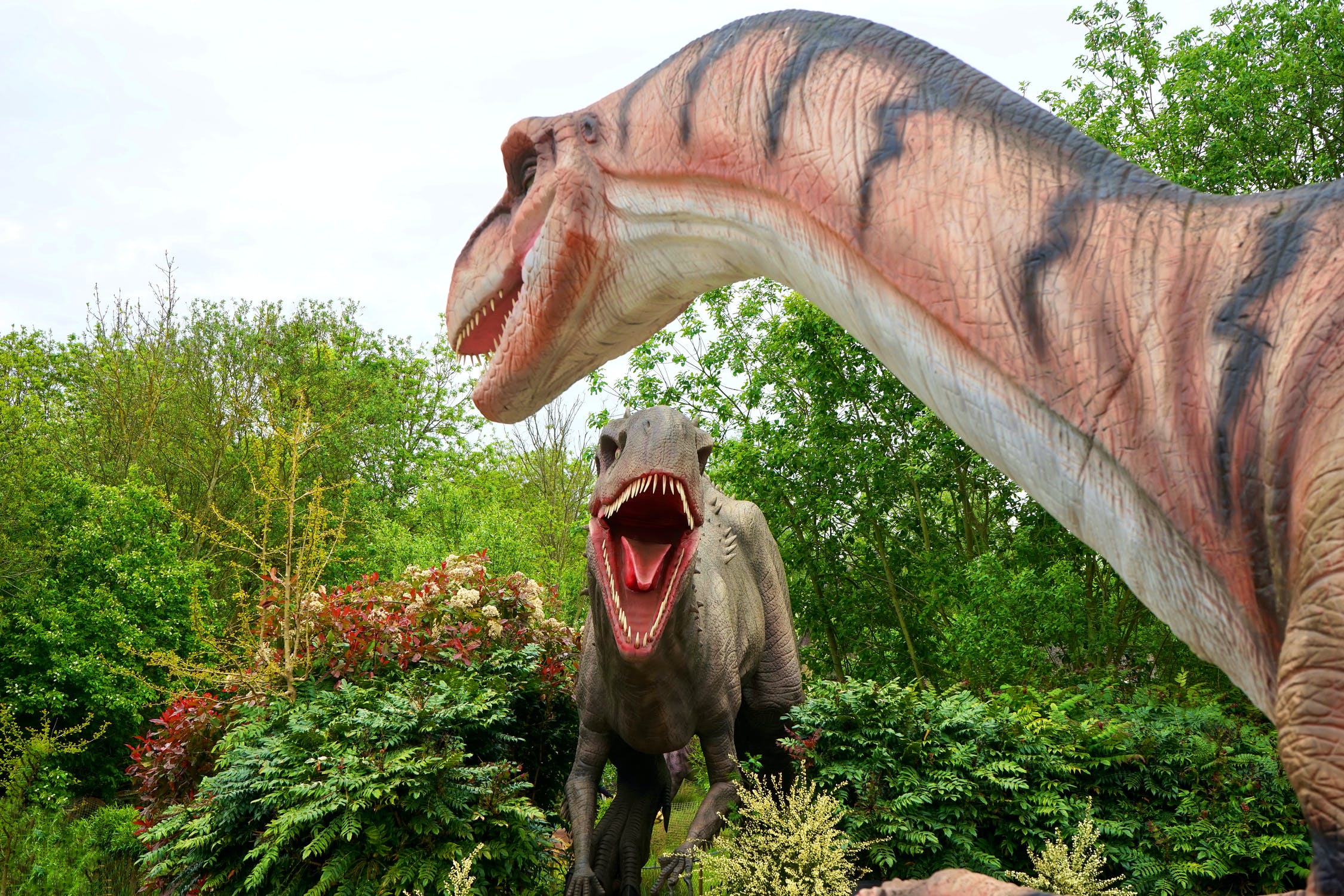 Парк динозавров в Дубае