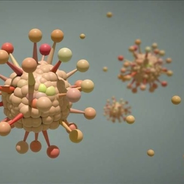 Что известно о новом штамме коронавируса в Великобритании?