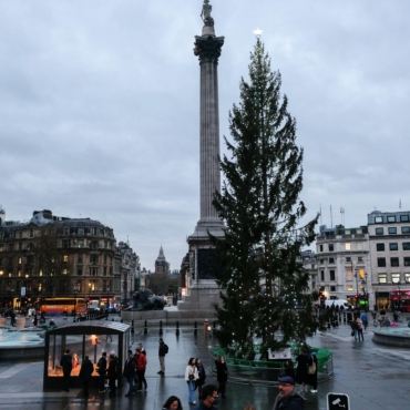 Норвегия может прислать Лондону новую рождественскую елку