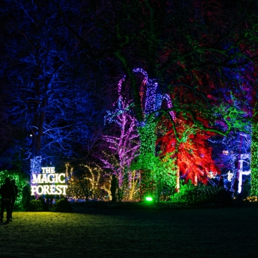 Завораживающий рождественский фестиваль Glow Wild вернется в ботанический сад Уэйкхерст в этом году