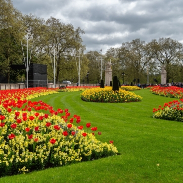 Часть садов Букингемского дворца предложили превратить в мемориальный сад королевы Елизаветы II