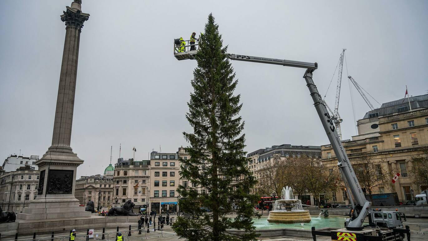 елка на трафальгарской площади в лондоне