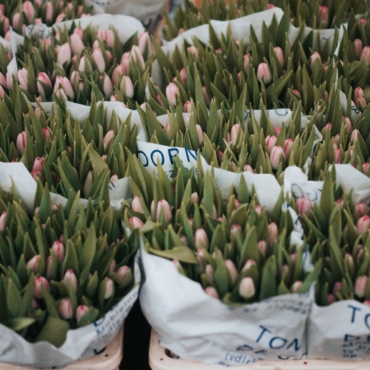 Где покупать цветы в Лондоне: советует основательница студии флористики