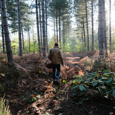 Call of the ancestors or an unusual hobby?
What is foraging and why to do it