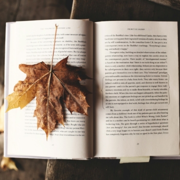 Mysterious crimes, fairy tale estates, and memory labyrinths: 8 books for a fall evening