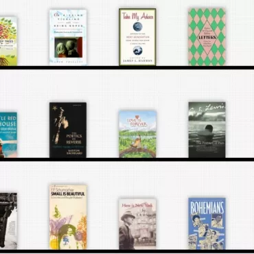 Lifelong Learning. Не выходя из дома
