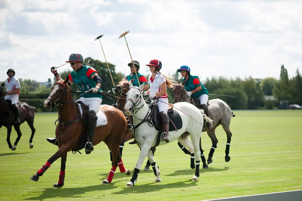polo (45 of 176)