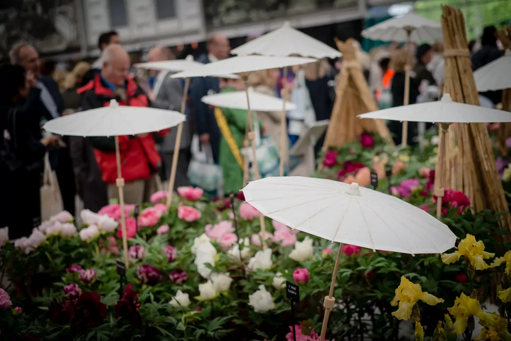 RHS Chelsea Flower Show