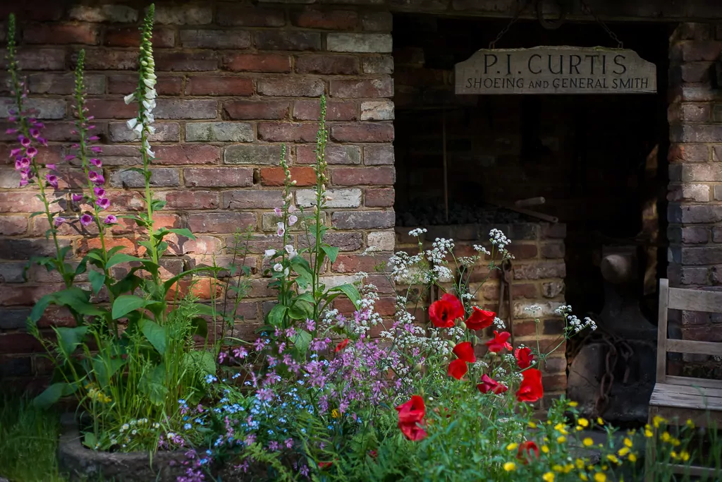 RHS Chelsea Flower Show