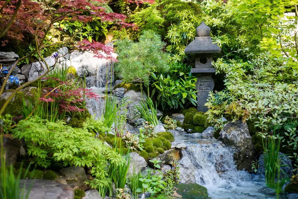 RHS Chelsea Flower Show