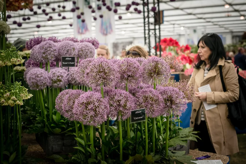 RHS Chelsea Flower Show