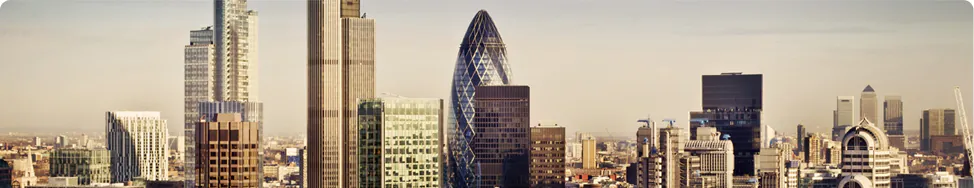 city-banner