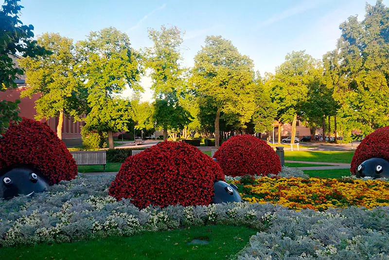 IMG_20150813_201208_hdr