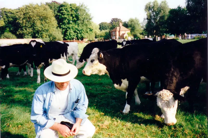 ZZ-&-Cows-1