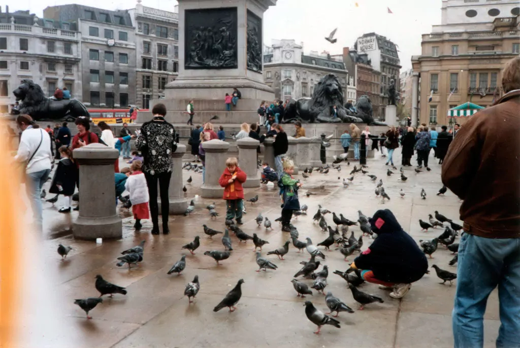 People_feeding_pigeons_in_Trafalgar_Square_c.1993