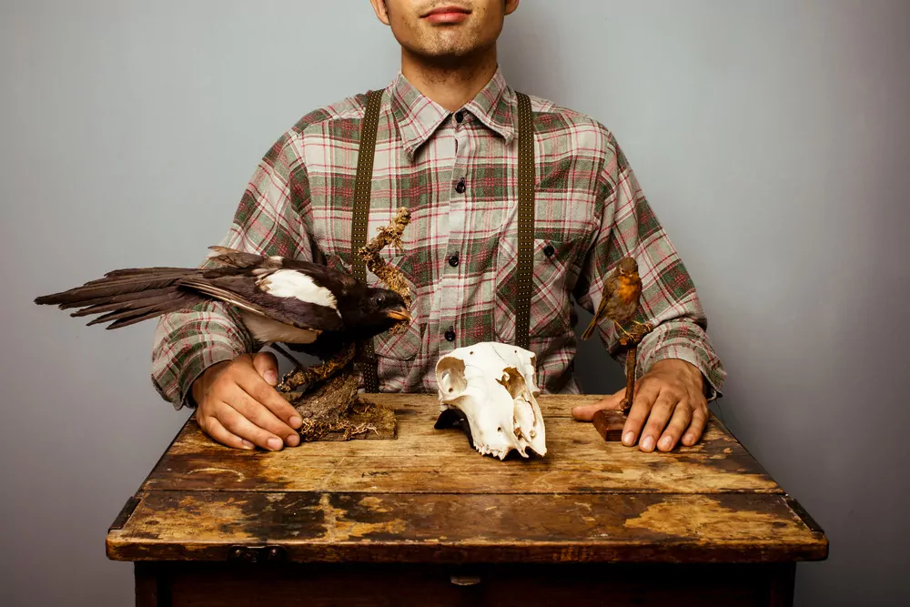 taxiderm