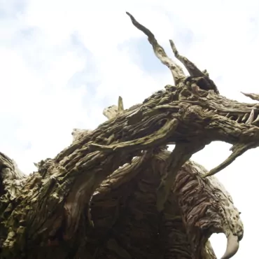 Куда поехать с детьми в выходной? The Sculpture Park в Саррей – вот где восторг