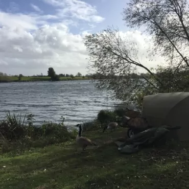 Сбежать из Лондона. Попытка вторая: болота Walthamstow Wetlands