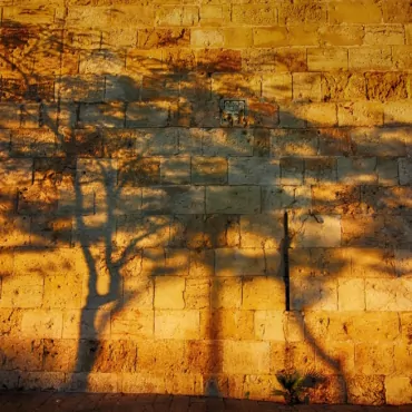 Как переехать в Израиль и не облажаться. Учимся не наступать на популярные грабли