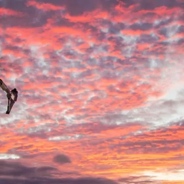 В пяти британских городах дроны начнут регулировать трафик и доставлять лекарства