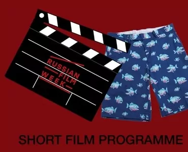 Звягинцев, Тодоровский и женщины в кино. Объявлена программа дополнительных мероприятий Russian Film Week 2017