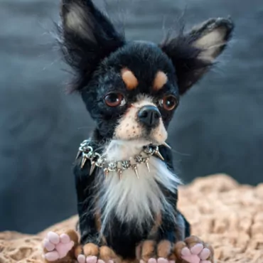 Как «усыновить» игрушку за 500 евро. История художницы Янины Линк, работающей в жанре artist teddy bear