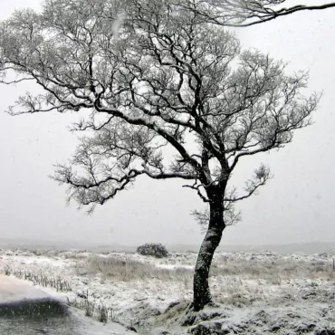 На Британию движется шторм Caroline. Скорость ветра будет 144 км/ч