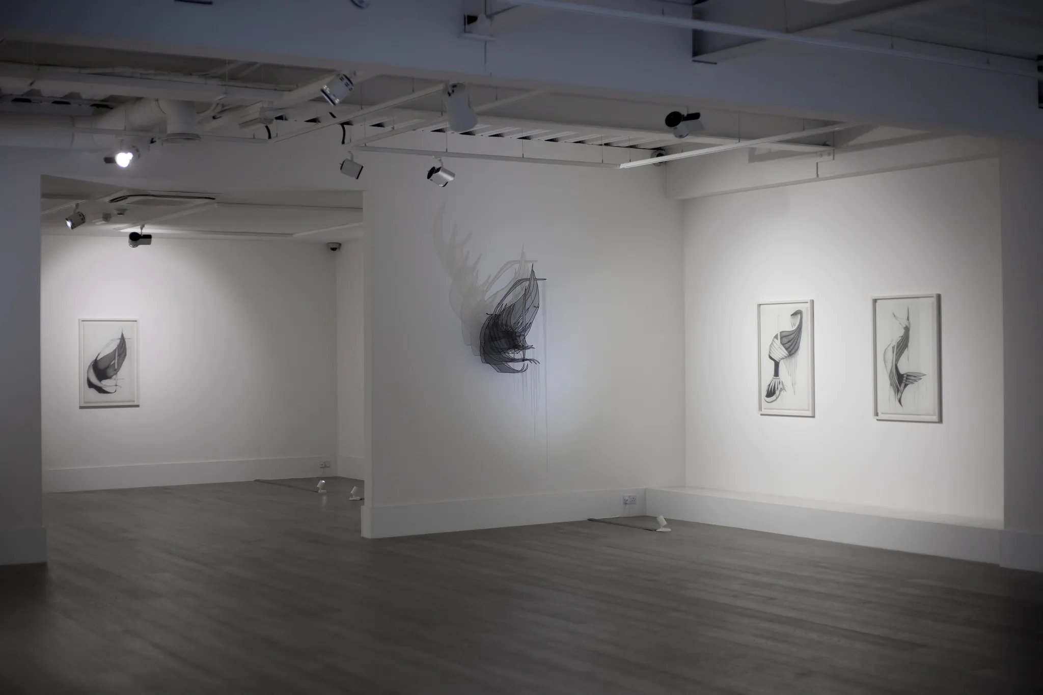 Как открыть галерею в Лондоне, Sophia Contemporary Gallery, London