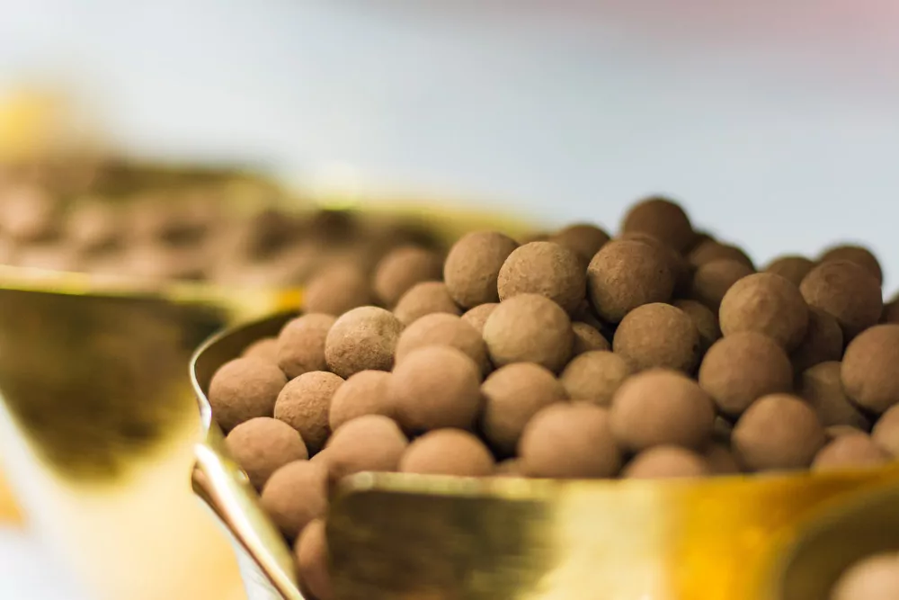 Интервью с основательницей Artisan du Chocolat Энн Уэйнс