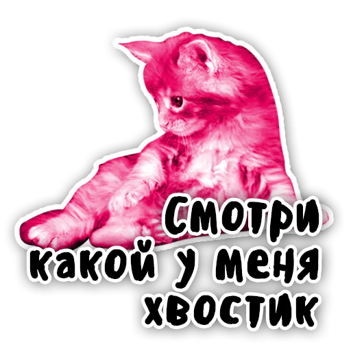 Закрытый клуб Killing Kittens