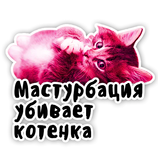 Закрытый клуб Killing Kittens