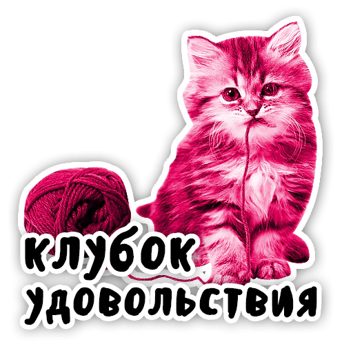 Закрытый клуб Killing Kittens