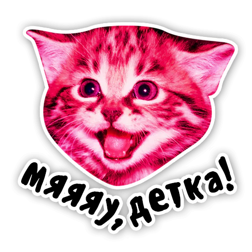 Закрытый клуб Killing Kittens