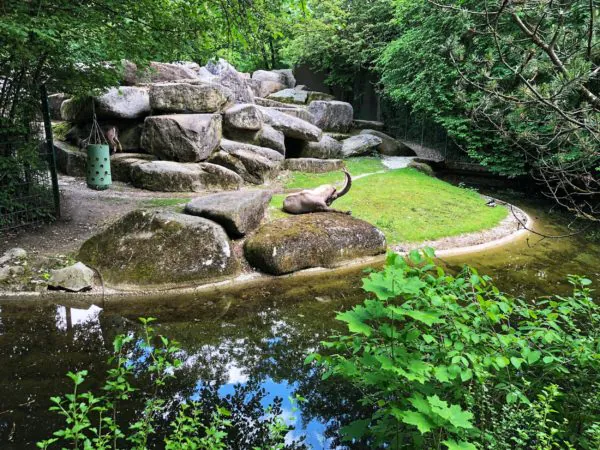 Зоопарк Tierpark