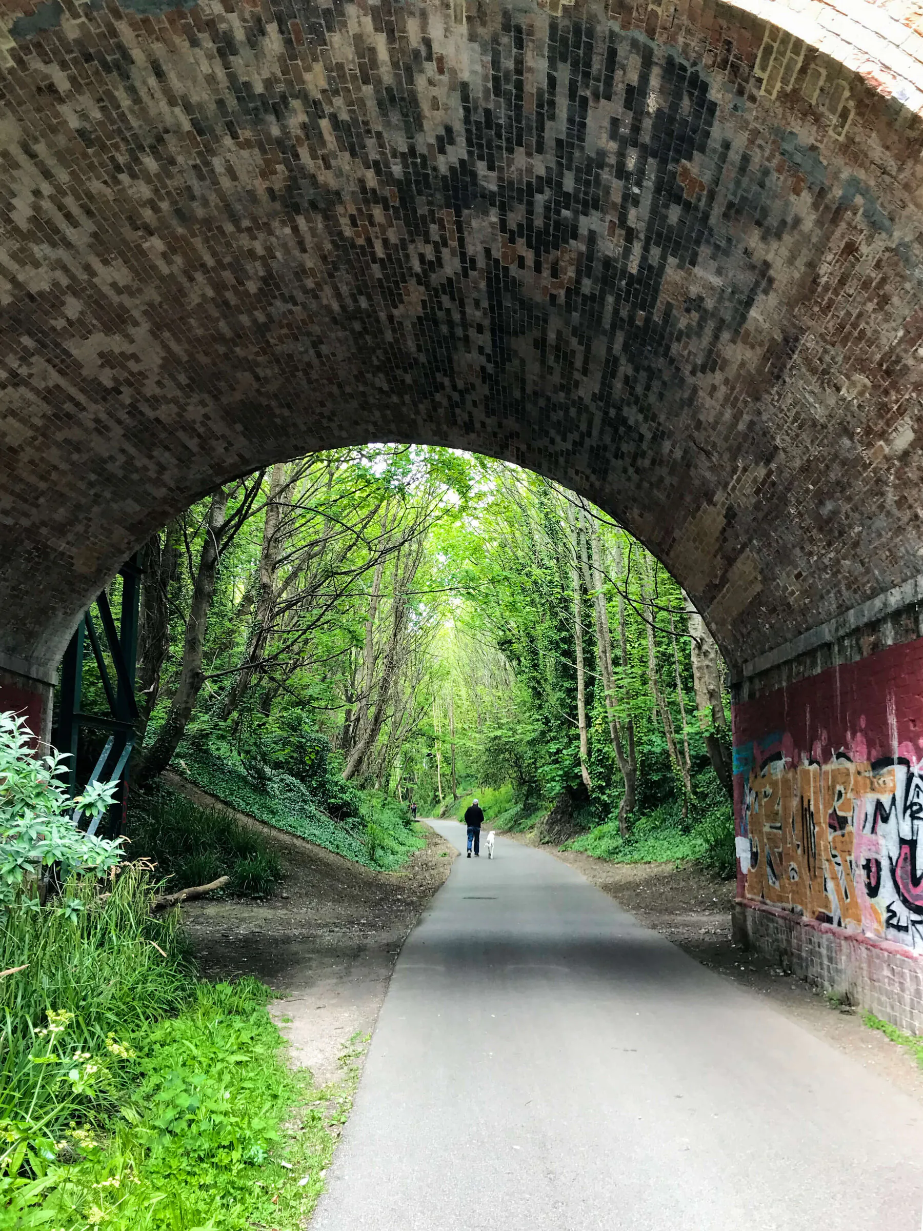 Тропа Rodwell Trail