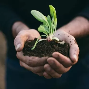 Sustainable lockdown: как быть экологичным во время карантина