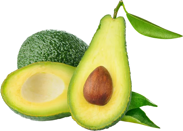 Avocado