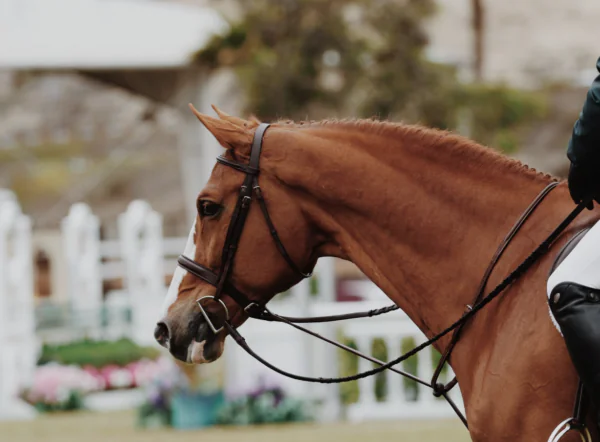 Royal Ascot 2020