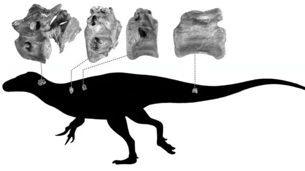 Vectaerovenator inopinatus