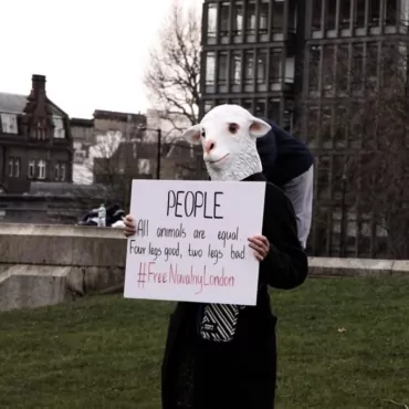 «Скотный двор» в центре Лондона: как прошла протестная акция