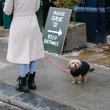 Лондон и лондонцы. В британской столице снова снегопад