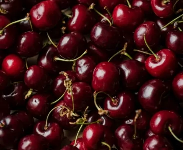 Из-за жаркой погоды в июле Британию ждет рекордный урожай черешни