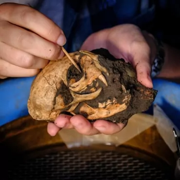 Британские археологи обнаружили редкий римский амфитеатр в графстве Кент