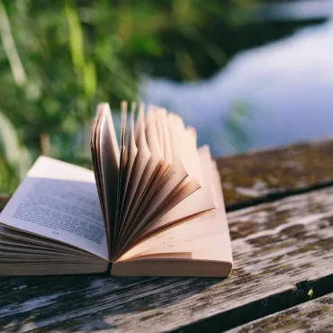 Музыка Прованса, секреты Порту и ирландский лес: 10 идеальных книг на лето