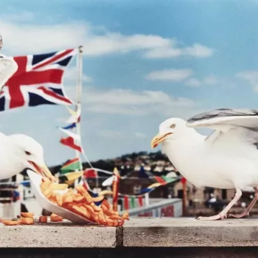 From A to Z: A Dictionary of the Leaving Year 2025