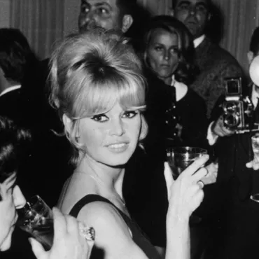 Брижит Бардо. Портрет у стены