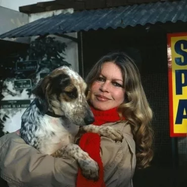 Кому достанется наследство Брижит Бардо? 